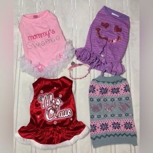 Medium Sized Dog Clothing & Collar 🐶